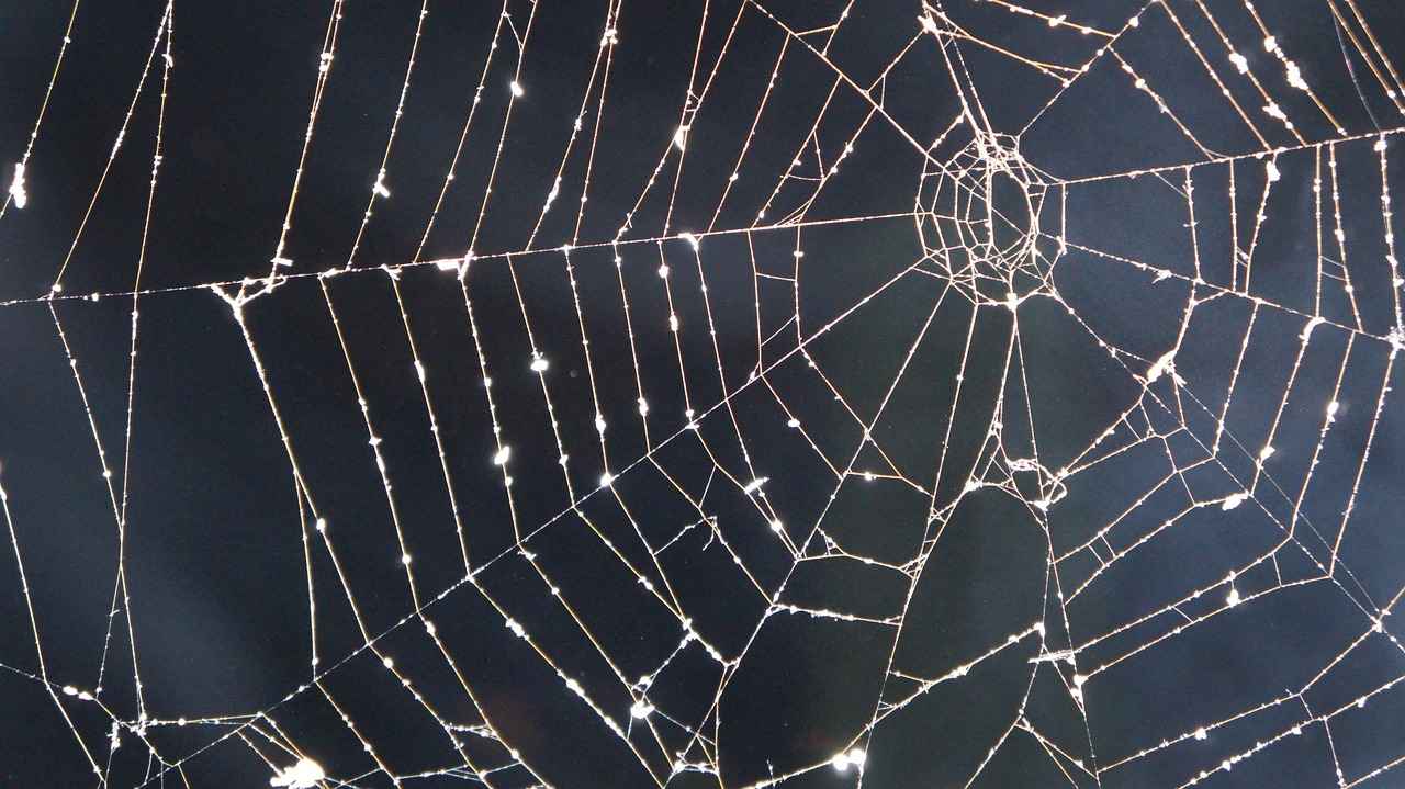 Halloween Movies for Kids: Spooky But Not Too Scary 4 Benefits of Watching Halloween Movies Together