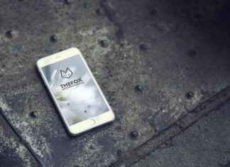 Hand Holders for Mobile Phones: How to Make Your Life Easier Hand Holders for Mobile Phones: How to Make Your Life Easier