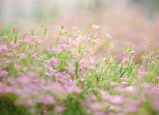 Handmade Wooden Bed Designs: Unique Pieces for Your Bedroom Handmade Wooden Bed Designs: Unique Pieces for Your Bedroom