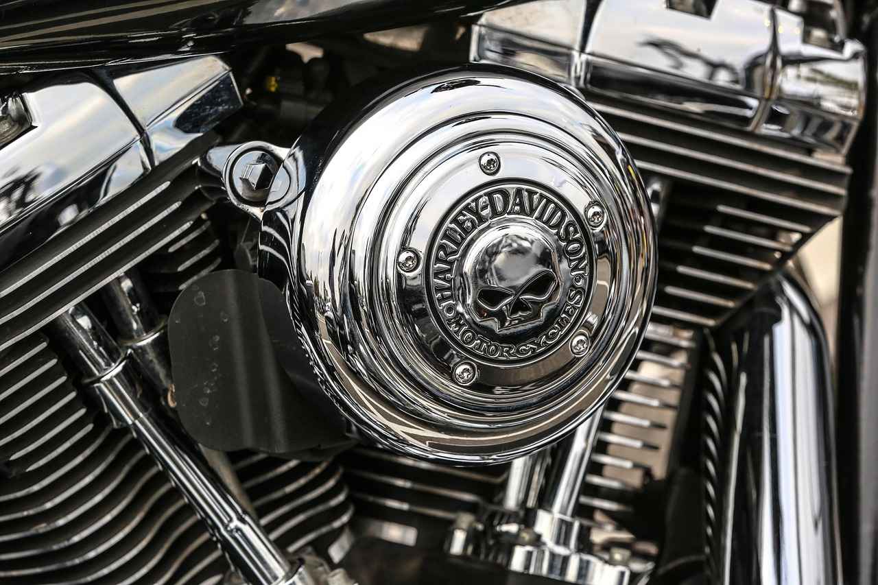 Harley Davidson Phone Holders: The Best Picks for Bikers 6 Conclusion: Choosing the Right Phone Holder for Your Harley
