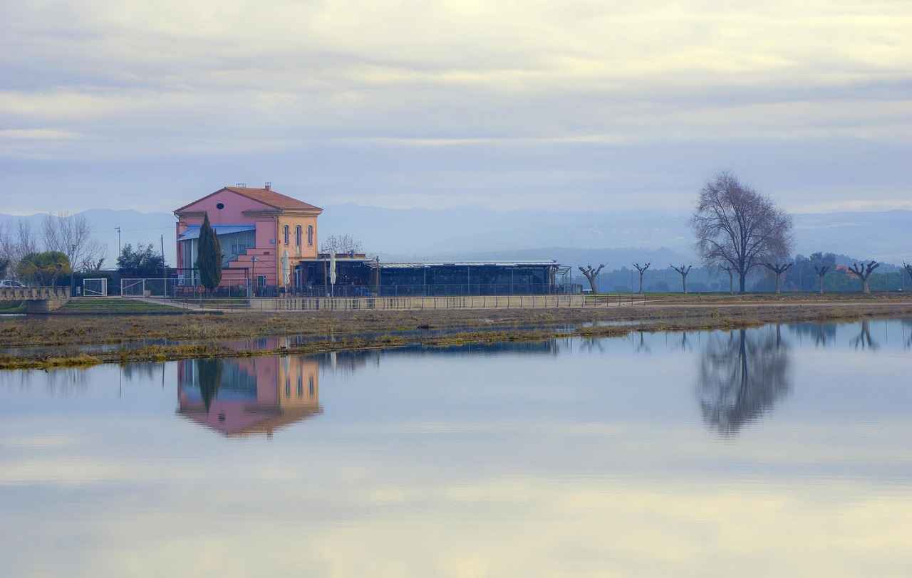 Harnessing the Amino Acid Benefits of L-Glutamine 4 L-Glutamine's Impact on Immune Function