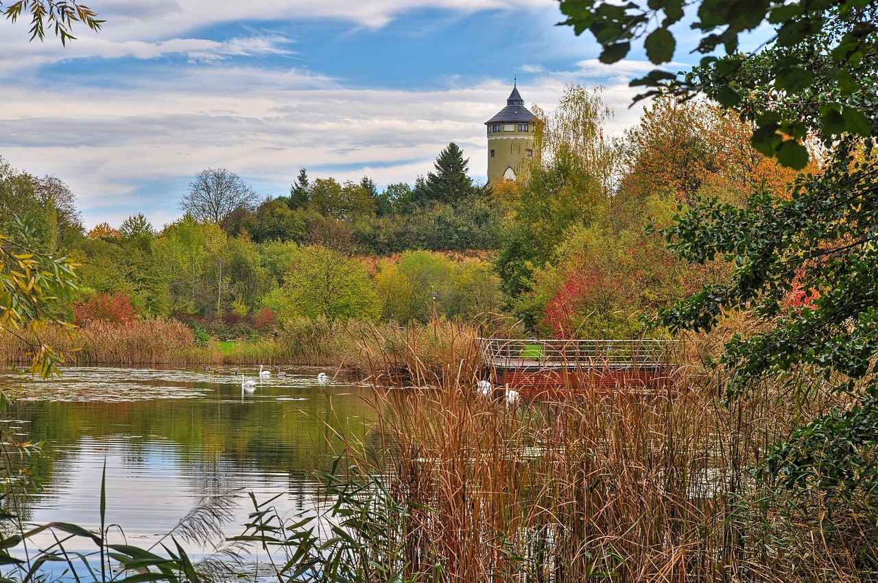 Harnessing the Amino Acid Benefits of L-Glutamine 3 L-Glutamine and Gut Health