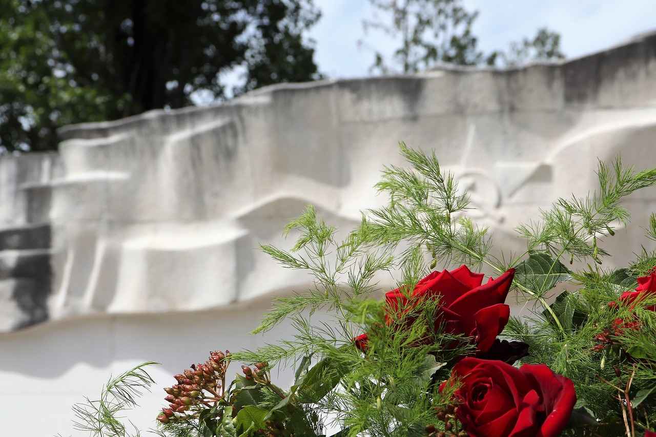 Harnessing the Anti-Aging Effects of Carnosine 4 Supplementing with Carnosine: What You Need to Know