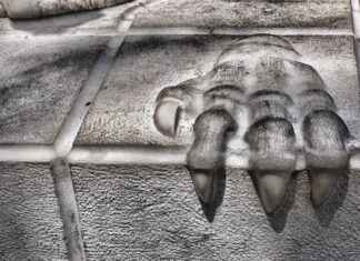 Harnessing the Anti-Allergy Properties of Quercetin Harnessing the Anti-Allergy Properties of Quercetin