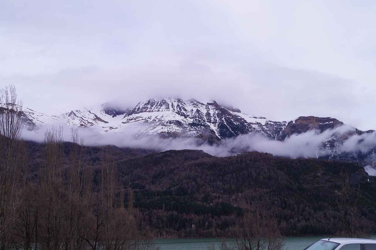 Conclusion: The Future of Quercetin in Allergy Management