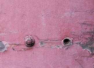 Harnessing the Blood Flow Benefits of Nitric Oxide Boosters Harnessing the Blood Flow Benefits of Nitric Oxide Boosters