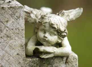 Harnessing the Blood Sugar Supportive Effects of Chromium Picolinate Harnessing the Blood Sugar Supportive Effects of Chromium Picolinate