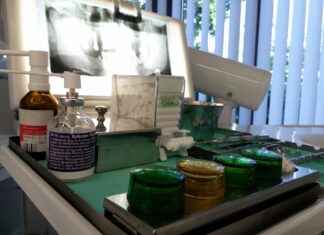 Harnessing the Bone Health Benefits of Hydrolyzed Collagen Harnessing the Bone Health Benefits of Hydrolyzed Collagen