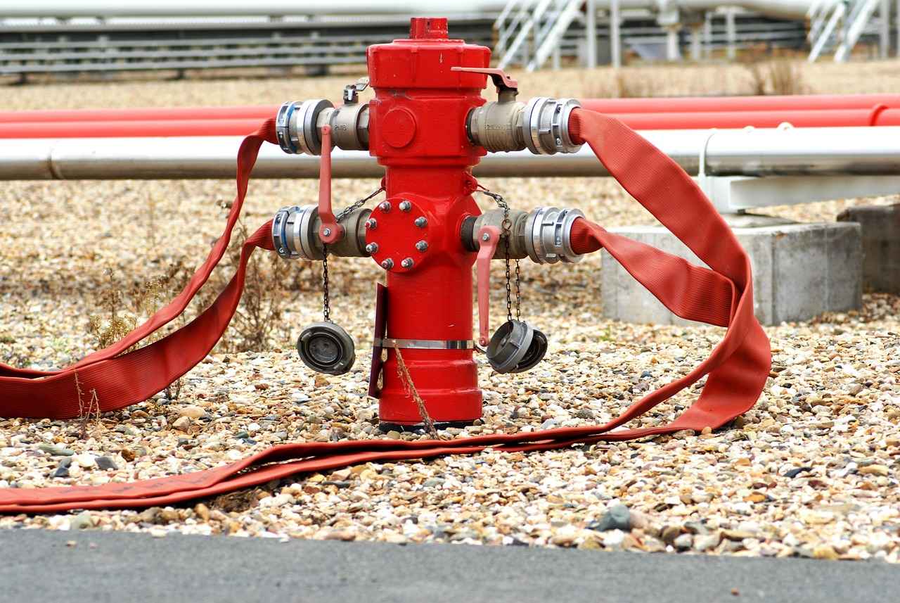 Harnessing the Brain Health Benefits of Omega-3 DHA 3 Sources of Omega-3 DHA