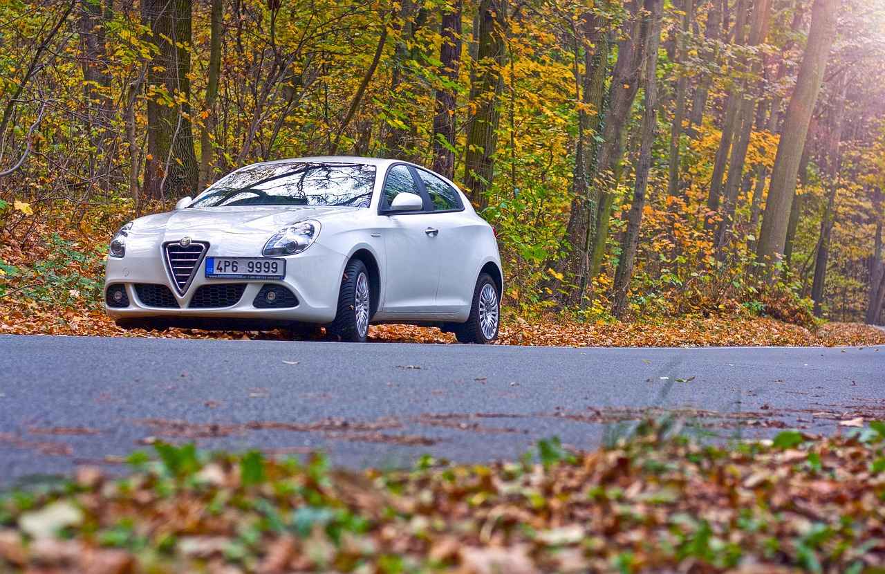 Harnessing the Brain Supportive Power of Alpha-GPC 3 Who Can Benefit from Alpha-GPC?