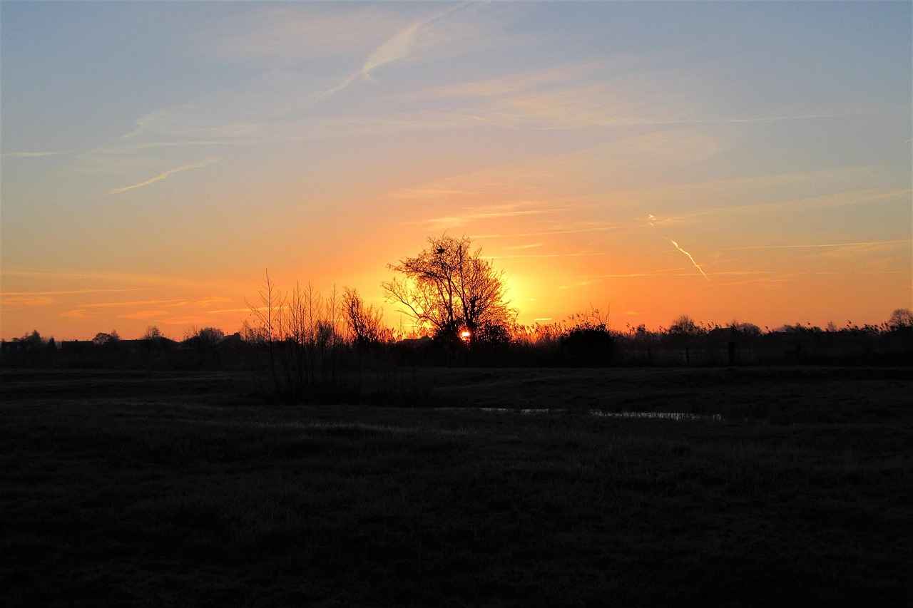 Harnessing the Hormone Balance Benefits of DIM 4 Possible Side Effects of DIM