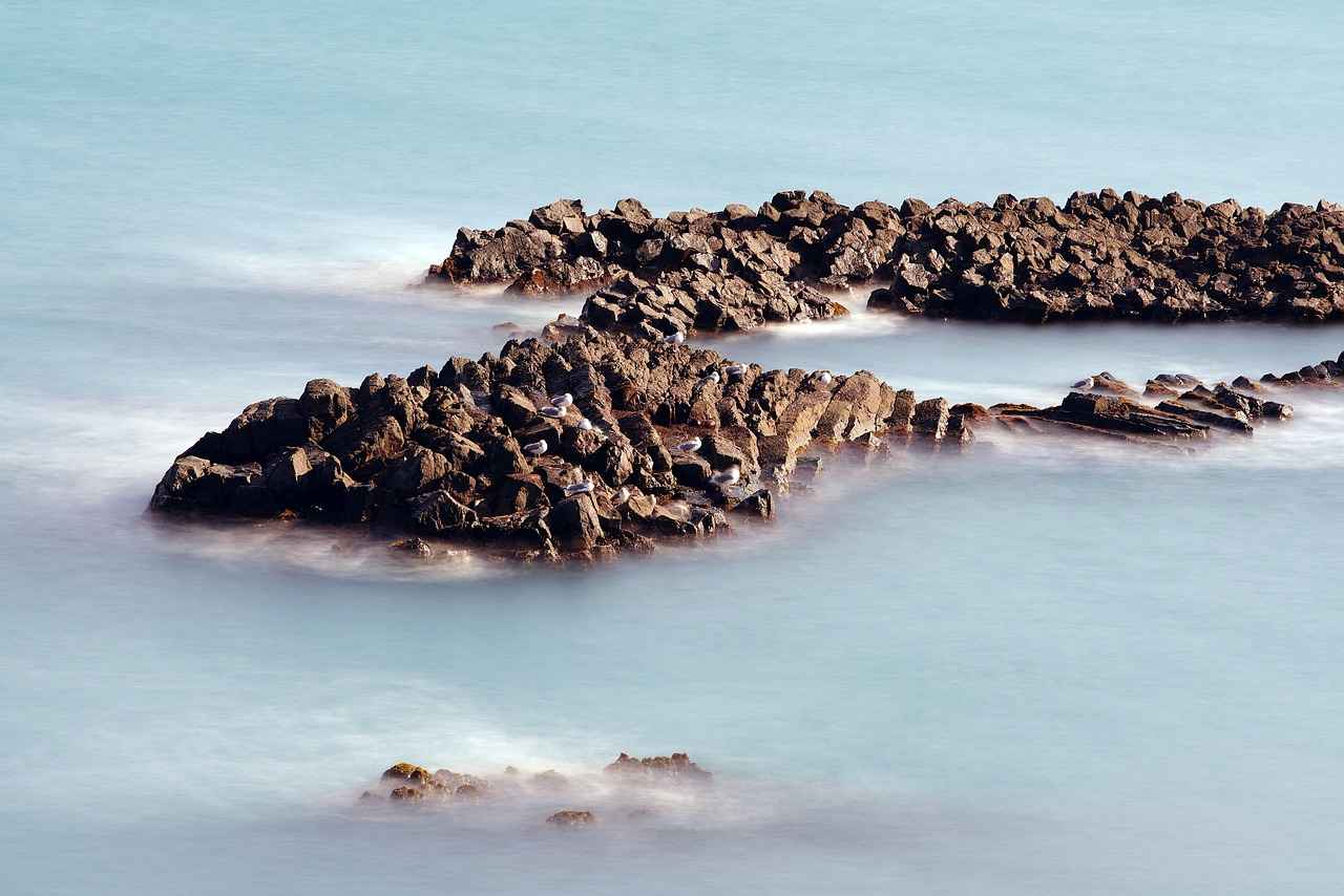 Benefits of UC-II Collagen for Joint Health