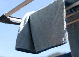 Harnessing the Power of Fiber Supplements for Digestive Health Harnessing the Power of Fiber Supplements for Digestive Health