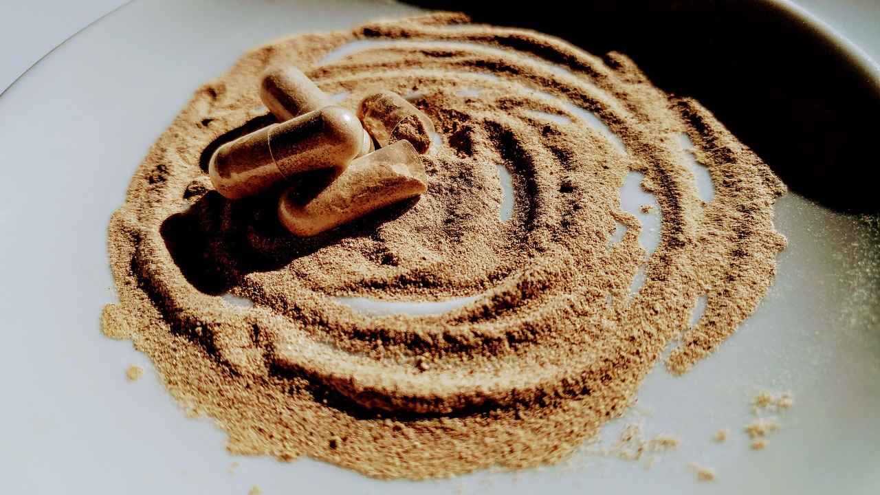 Harnessing the Power of Fiber Supplements for Digestive Health 1 What Are Fiber Supplements?