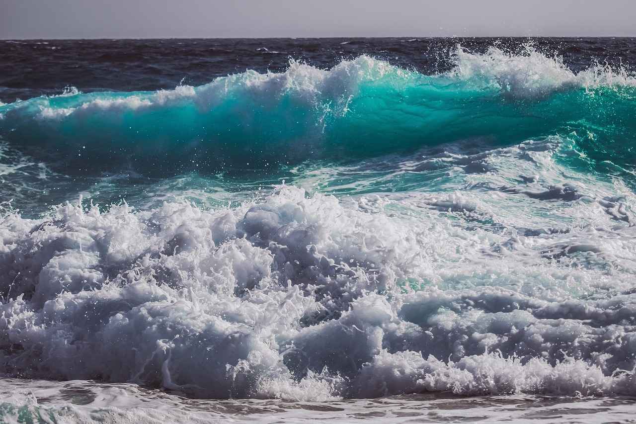 Harnessing the Stress-Reduction Effects of L-Theanine 4 How to Incorporate L-Theanine into Your Routine