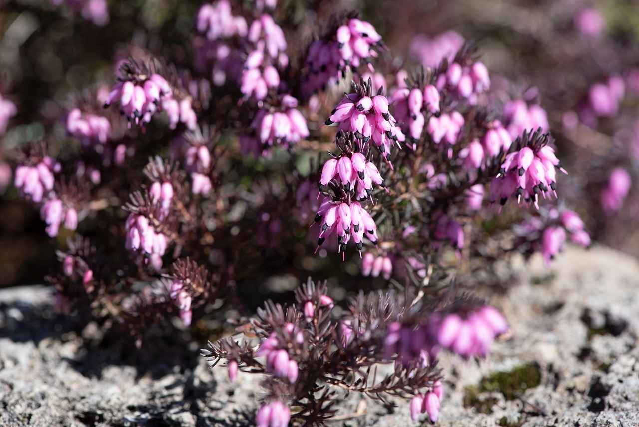 1. Understanding the Importance of Headboard Cushions