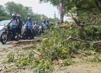 Heatwave Conditions Forecasted to Return After Temporary Relief heatwave-conditions-forecasted-to-return-after-temporary-relief