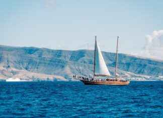 Holiday Movies for Kids: Celebrate the Season with These Films Holiday Movies for Kids: Celebrate the Season with These Films