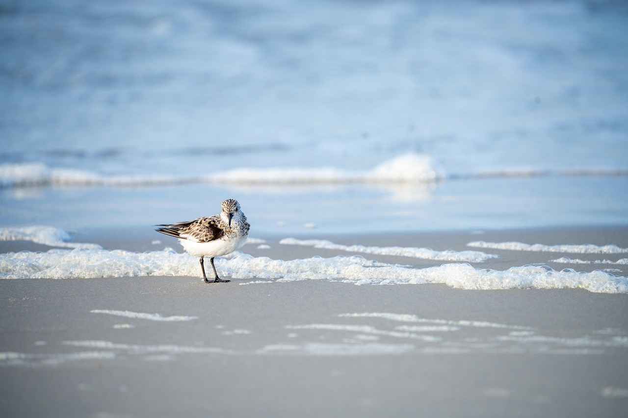 Hot Water Freezes Faster? Debunking the Myth 5 Common Misconceptions About Freezing Water