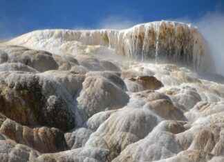 Hot Water vs. Cold Water: Does Temperature Affect Boiling Speed? Hot Water vs. Cold Water: Does Temperature Affect Boiling Speed?