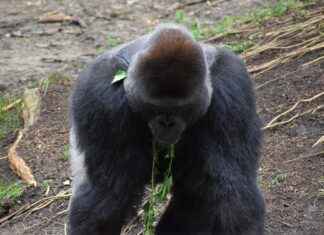 Houston Astros vs. Los Angeles Angels: Player Stats and Highlights Houston Astros vs. Los Angeles Angels: Player Stats and Highlights