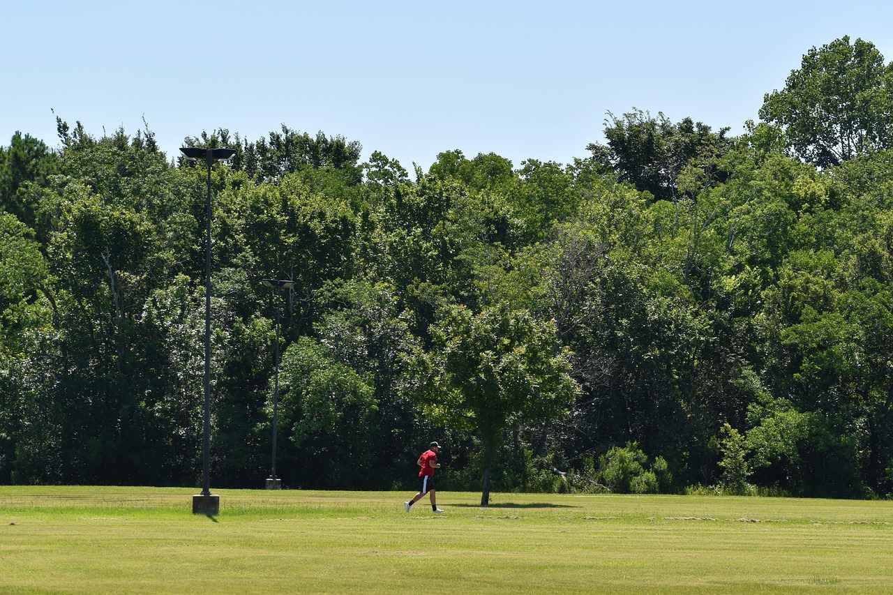 Offensive Statistics: Team Comparisons