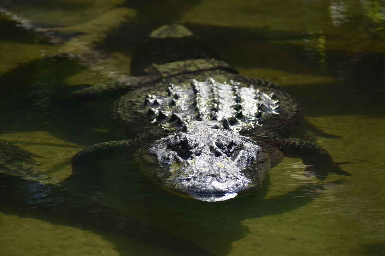 Houston Astros vs. Seattle Mariners: Player Stats and Key Performers 4 Top Performers for the Seattle Mariners