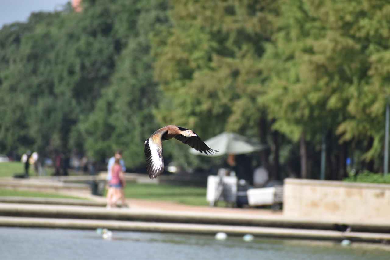 Houston Astros vs. Texas Rangers: Game Recap and Player Stats 2 Key Player Performances