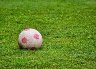 Houston Dynamo FC vs. LAFC: Player Stats Breakdown Houston Dynamo FC vs. LAFC: Player Stats Breakdown