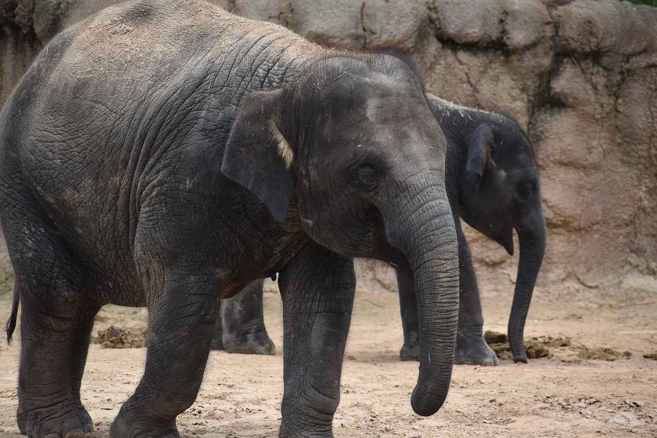 Houston Texans vs. Jacksonville Jaguars: Key Players and Stats Breakdown 8 Defensive Strengths: Houston Texans