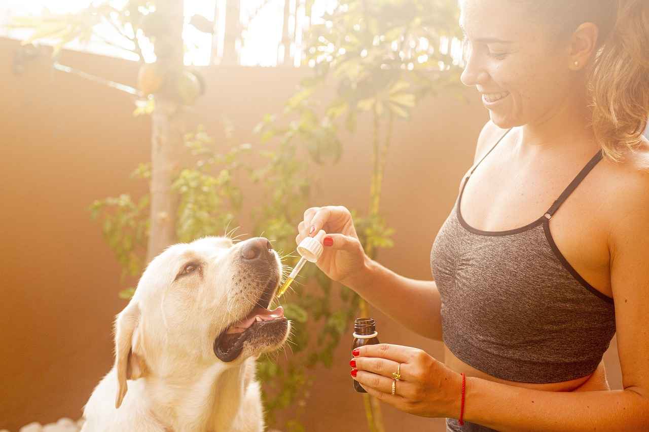 How CBD Benefits Professional Athletes 2 Research Supporting CBD's Analgesic Properties