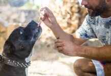 How CBD Can Help with Eczema and Psoriasis How CBD Can Help with Eczema and Psoriasis