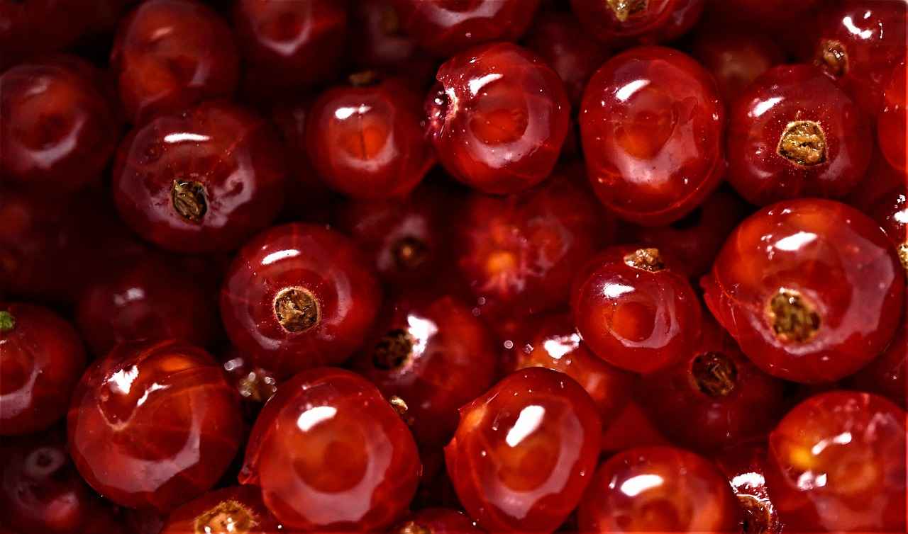 Benefits of CoQ10 for Heart Health