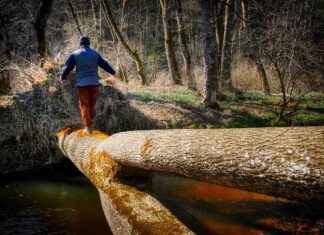 How DHEA Supports Hormonal Balance and Aging How DHEA Supports Hormonal Balance and Aging