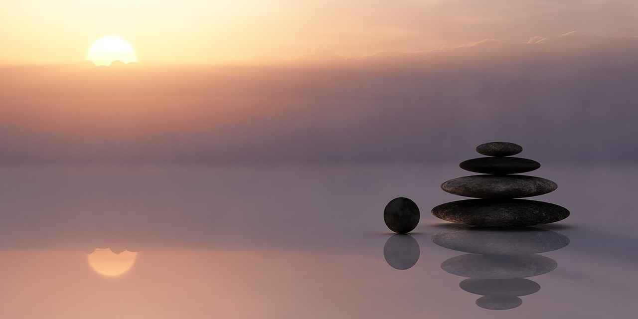 Conclusion: The Future of DHEA Research