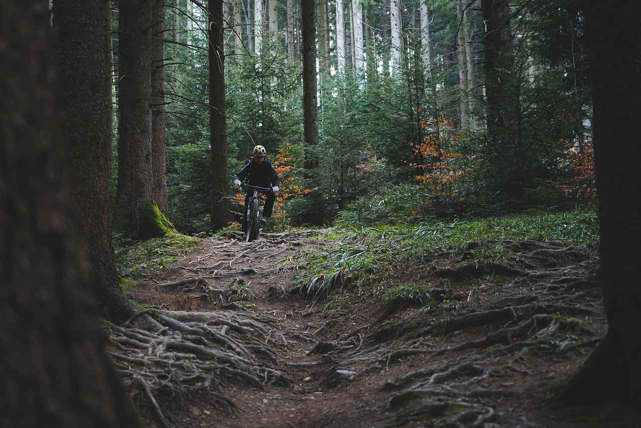 The Future of Electric Bikes