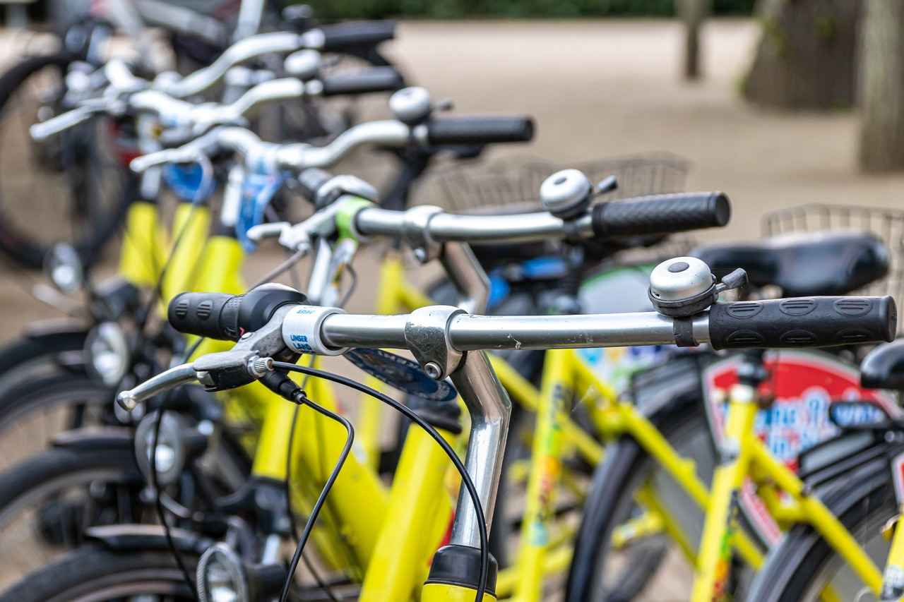 Conclusion: Embracing the Electric Bike Revolution