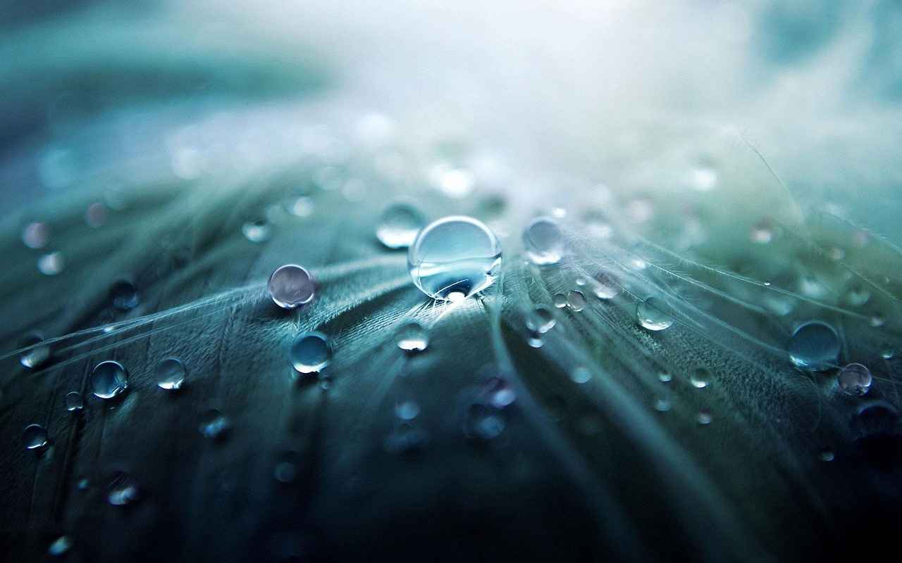 How Fast Does Water Digest? The Science Explained 2 The Role of the Stomach