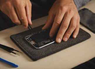 How Fucoidan Supports Cellular Health How Fucoidan Supports Cellular Health