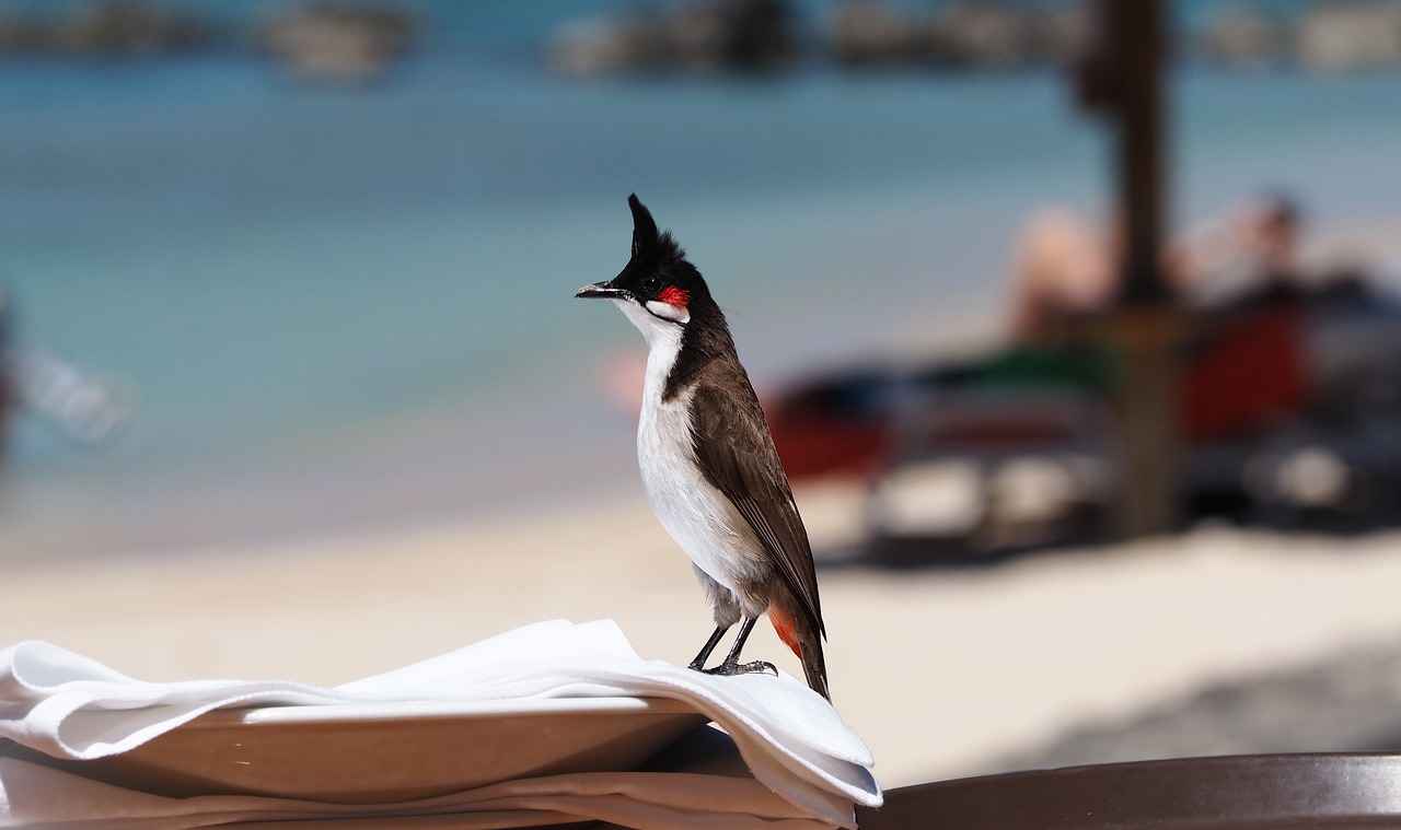 Building Relationships with Blog Owners