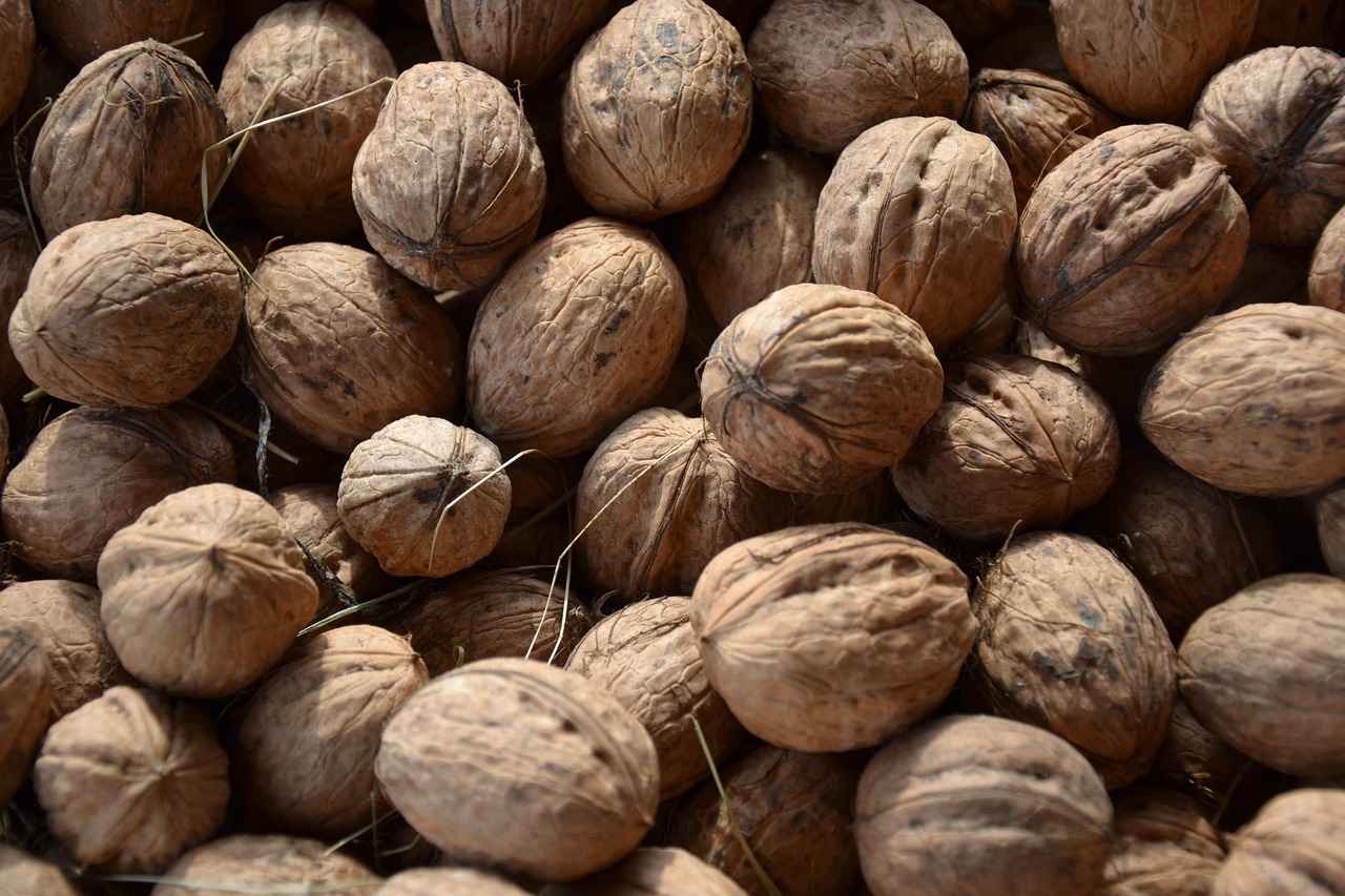 How Guest Posts Drive Traffic to Social Media