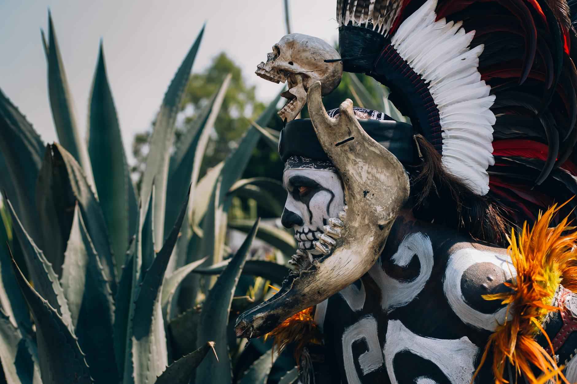 Cultural Performances and Activities