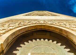 How L-Arginine Supports Circulation and Cardiovascular Health How L-Arginine Supports Circulation and Cardiovascular Health