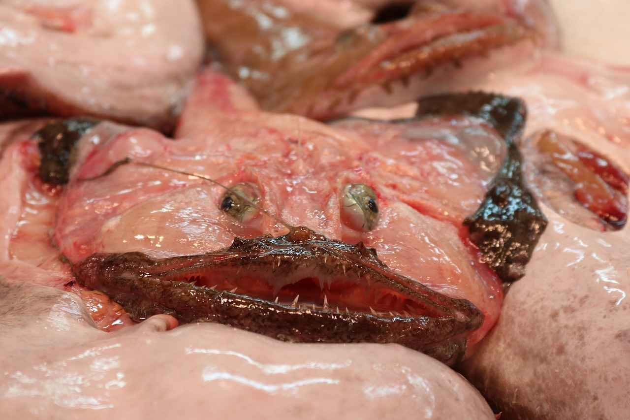 How L-Tyrosine Supports Mental Performance Under Stress 2 How Does L-Tyrosine Work in the Brain?