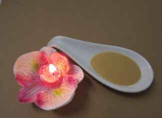 How Lecithin Supports Cognitive Function and Heart Health How Lecithin Supports Cognitive Function and Heart Health