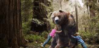 How Long Is 6 Inches? Understanding Measurement and Context How Long Is 6 Inches? Understanding Measurement and Context