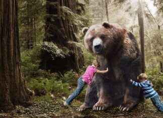 How Long Is 6 Inches? Understanding Measurement and Context How Long Is 6 Inches? Understanding Measurement and Context