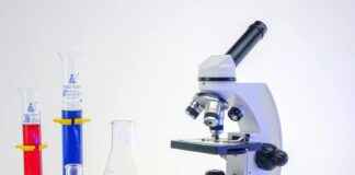 How Many Pints in a Gallon? Simple Conversions You’ll Use Daily How Many Pints in a Gallon? Simple Conversions You’ll Use Daily