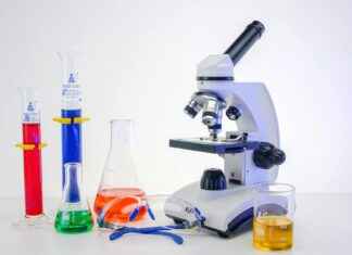 How Many Pints in a Gallon? Simple Conversions You’ll Use Daily How Many Pints in a Gallon? Simple Conversions You’ll Use Daily