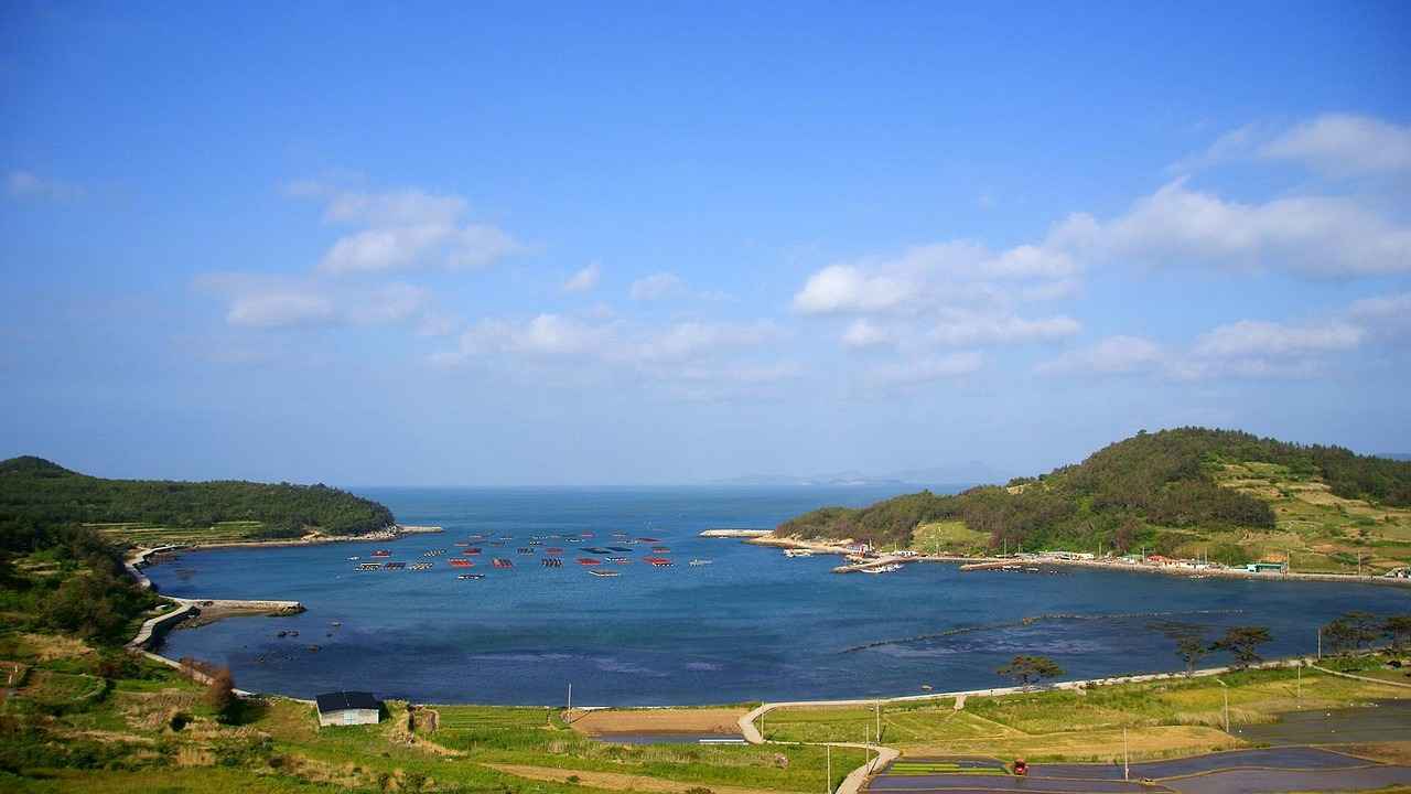 How Does NAC Benefit Liver Function?